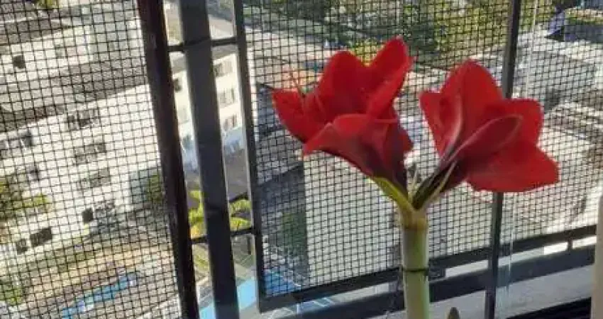 Apartamento à Venda Helbor Residence, Vila Mogilar, Mogi das Cruzes – SP 77m² R$ 525.000,00