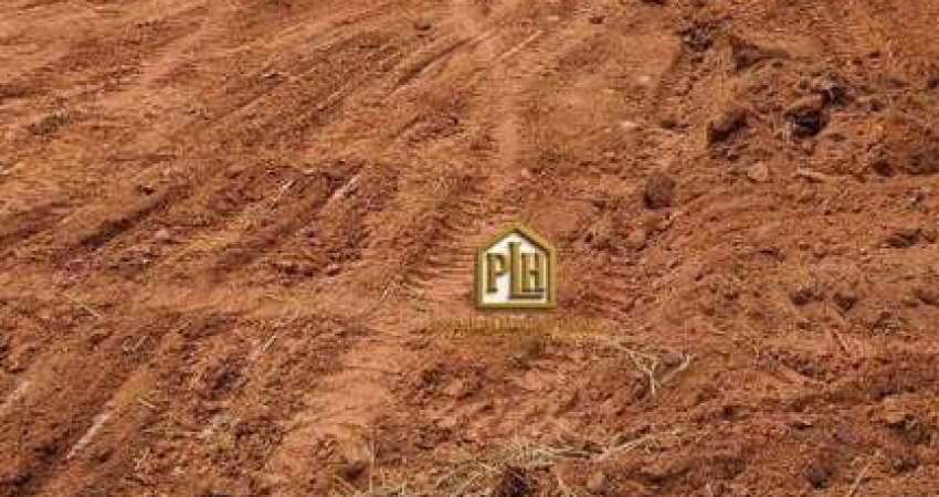 Terreno à venda, 536 m² por R$ 250.000,00 - Jardim Paulista - Atibaia/SP