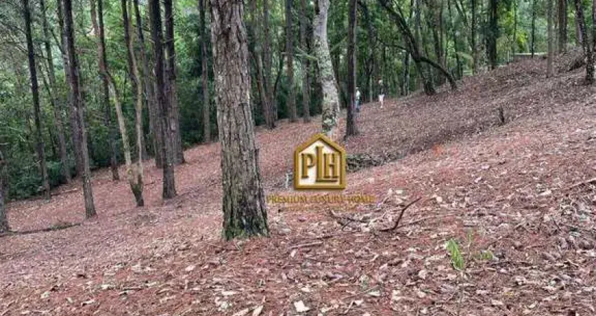 Terreno à venda, 1600 m² por r$ 250.000 - estância santa maria do portão - atibaia/sp