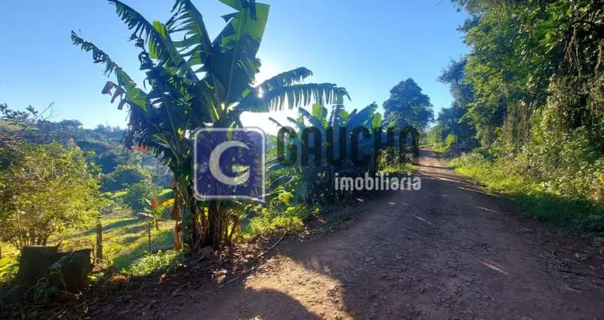 Chácara / sítio com 4 quartos à venda no Centro, Santa Maria do Oeste 