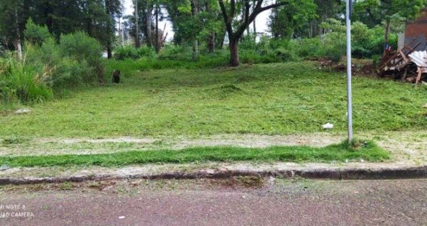 Terreno à venda no bairro Morumbi - Cascavel/PR