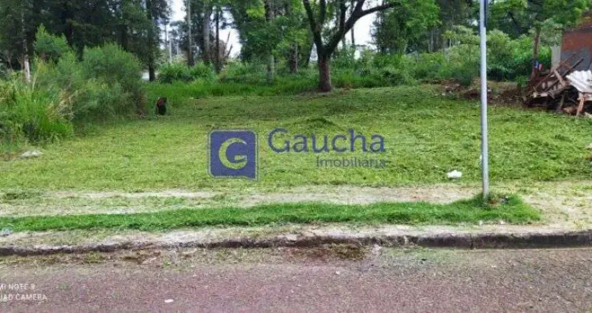 Terreno à venda no Morumbi, Cascavel 