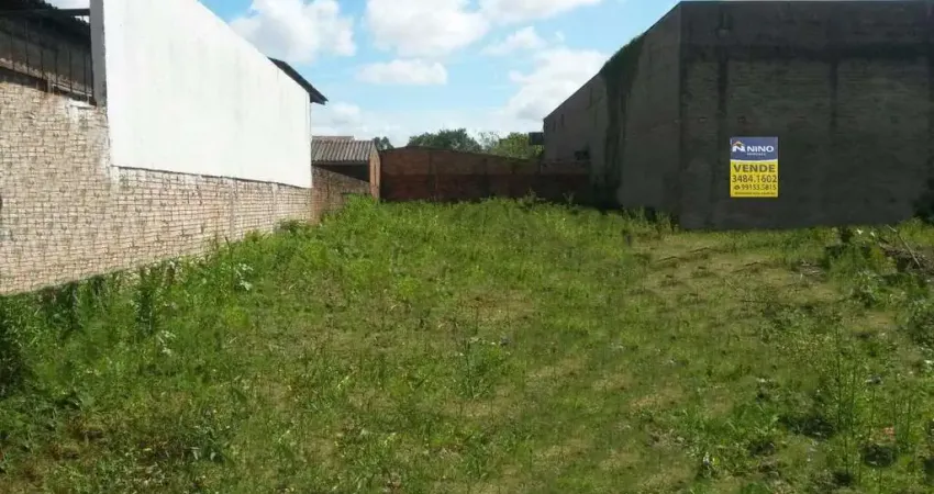 Terreno Espaçoso em Localização Privilegiada