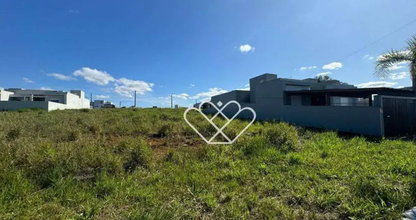 Seu Terreno dos Sonhos no Bairro Próspero: A Oportunidade que Você Esperava