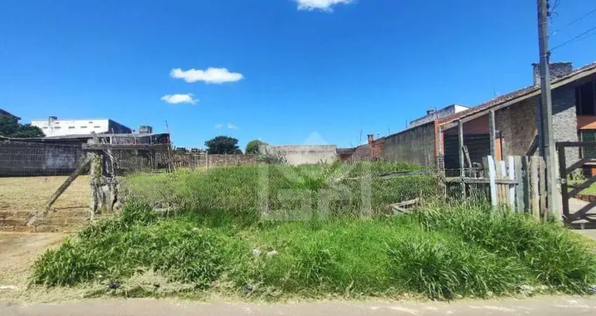 Terreno para locação no bairro vera cruz em gravataí – amplo espaço e excelente localização