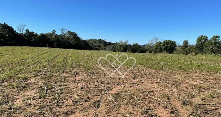 Casa à venda no bairro Parque Itacolomi em Gravataí com 25.000m² de área total