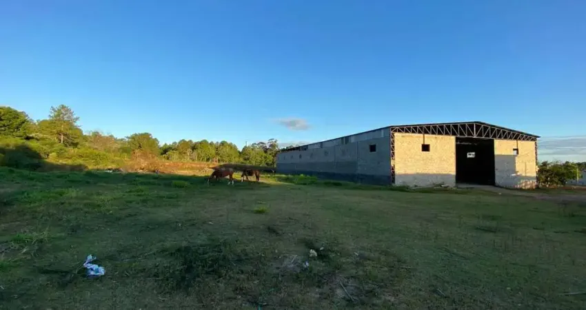 Barracão / Galpão / Depósito para alugar na Avenida Edgar Pires de Castro, Lageado, Porto Alegre