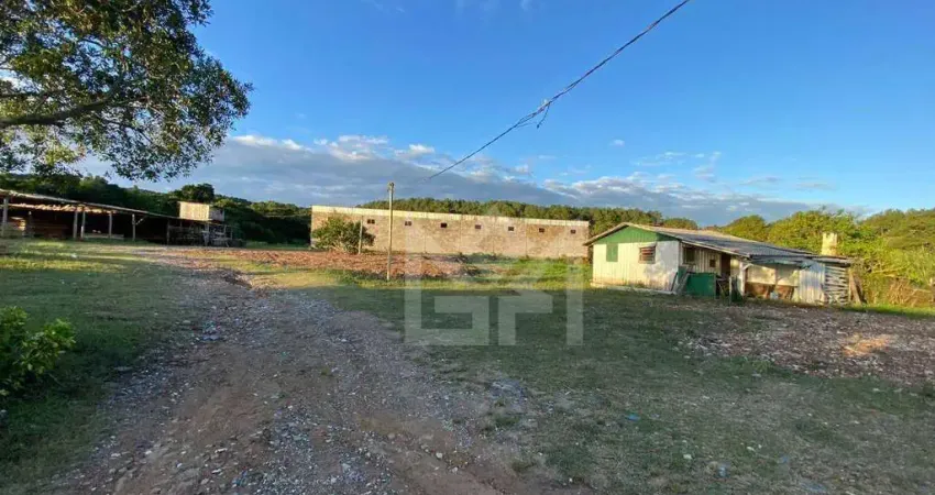 Barracão / Galpão / Depósito para alugar na Avenida Edgar Pires de Castro, Lageado, Porto Alegre