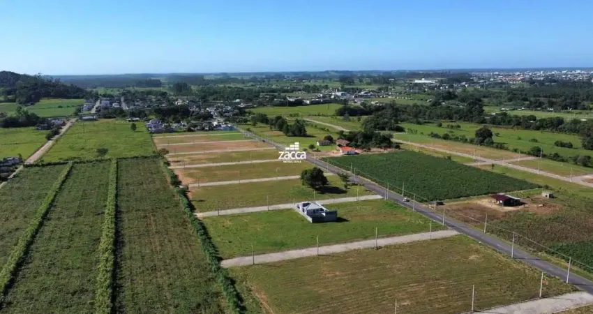 Terreno à venda em Nova Guarita, Sombrio 