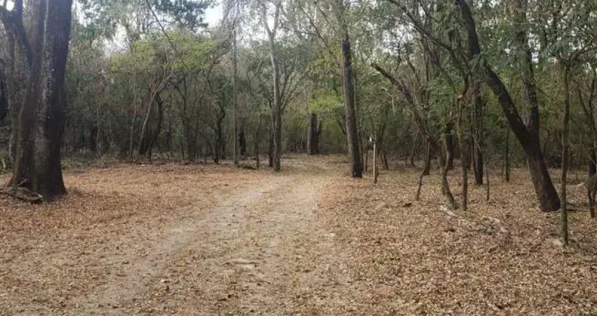 Sítio para Venda em Presidente Bernardes, Santo Antônio, 1 dormitório, 2 banheiros, 6 vagas