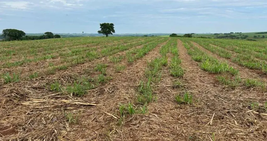Sítio / Chácara para Venda em Ouro Branco, Área Rural de Ouro Branco