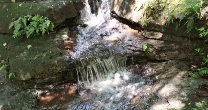 Sítio / chácara para venda em taciba, corrego azul, 3 dormitórios, 2 banheiros