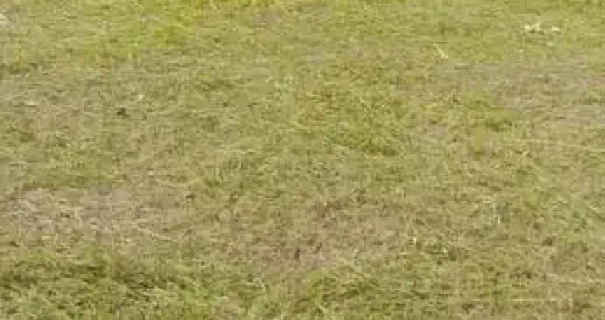 Terreno para Venda em Presidente Prudente, Rotta Do Sol