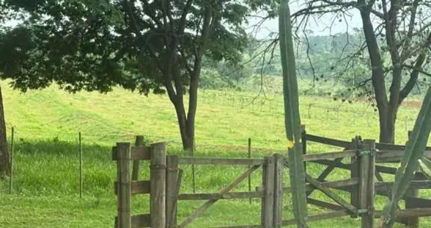 Chácara para venda em martinópolis, rural, 3 dormitórios, 2 banheiros