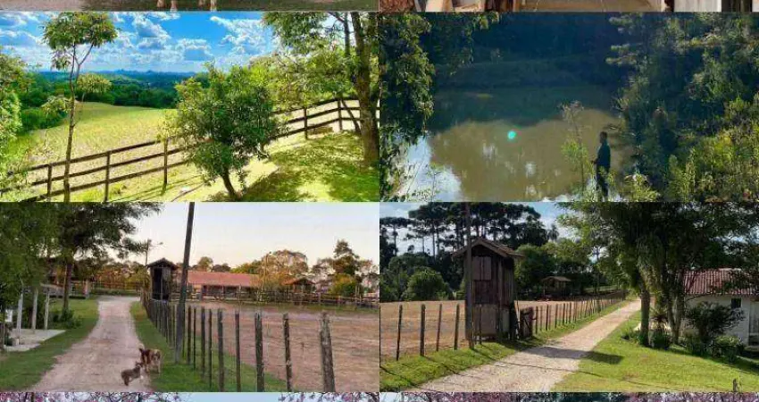 Chácara com 6 dormitórios à venda, 96800 m² por R$ 2.990.000,00 - Marmeleiro - Almirante Tamandaré/PR
