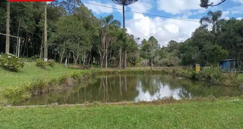Chácara com 3 dormitórios à venda, 25000 m² por r$ 1.980.000,00 - borda do campo - são josé dos pinhais/pr