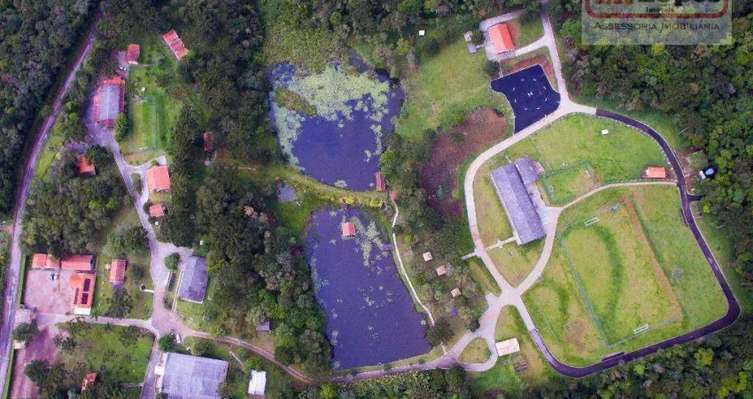 Chácara com 60 dormitórios à venda, 145200 m² por r$ 12.000.000,00 - rio de una - são josé dos pinhais/pr