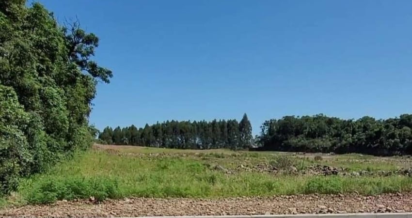 Terreno à venda na Nossa Senhora das Graças, Caxias do Sul 