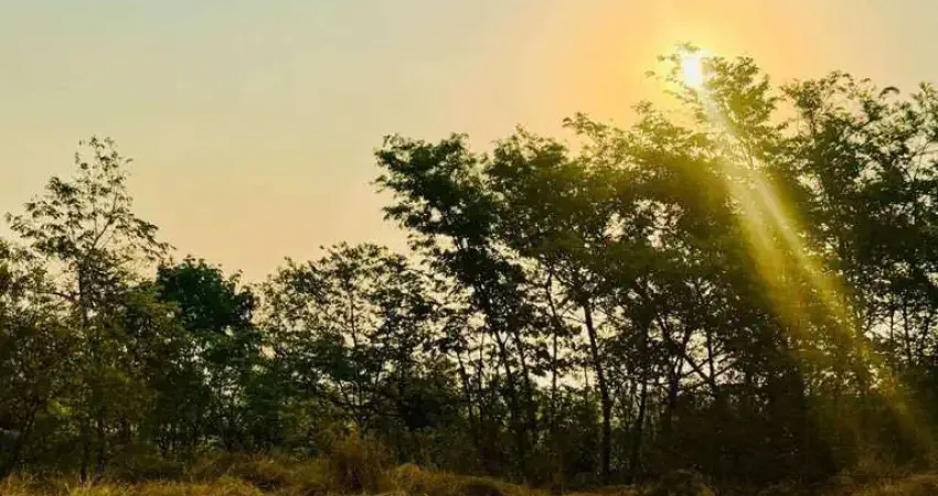 Oportunidade única em guapó-go: chácara de 1.000 m² pronta para morar