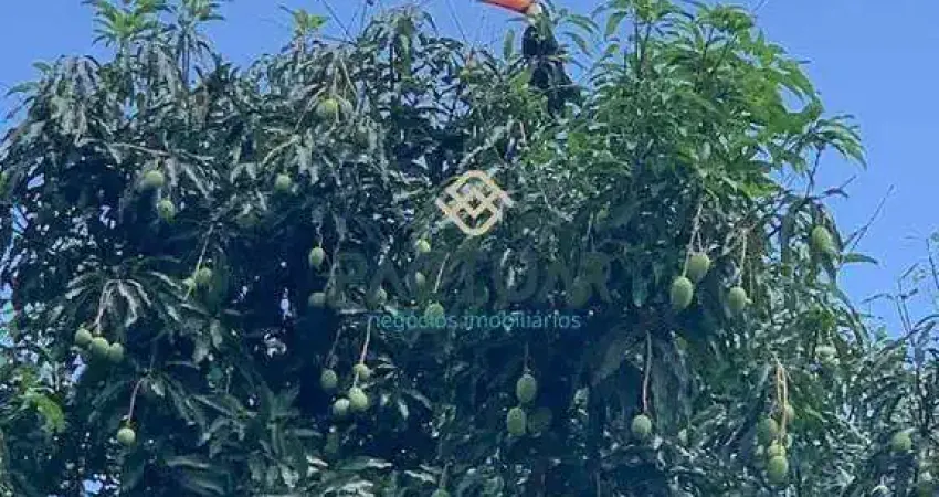 Casa à venda, 2 quartos, 1 suíte, 4 vagas, cinquentenário - belo horizonte/mg