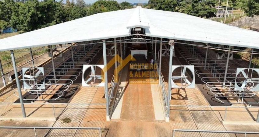 FAZENDA LEITEIRA A VENDA NA REGIÃO DE ITAPETININGA
