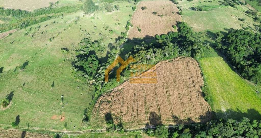SITIO 7 ALQ. A VENDA EM ITAPETININGA/SP.