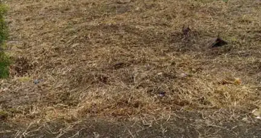 Excelente terreno para venda no residencial jardim pérola ii - itupeva sp