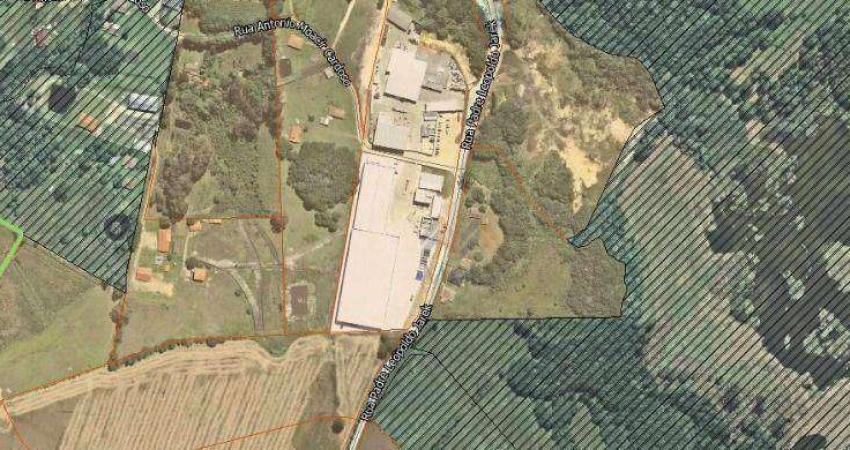 AREA INDUSTRIAL PROXIMO A AUDI EM SAO JOSE DOS PINHAIS