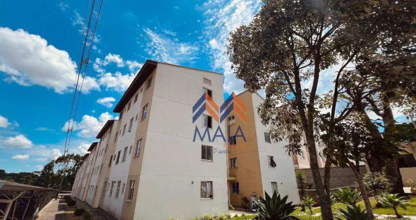 Apartamento com 2 dormitórios para alugar, 43 m² por R$ 1.541,00/mês - Braga - São José dos Pinhais/PR