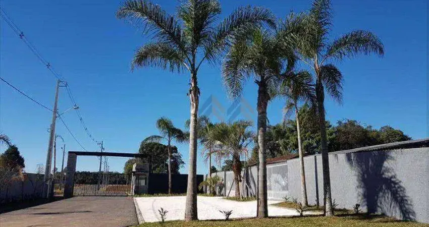 Terreno à venda, 129 m² por R$ 162.500 - Campo Largo da Roseira - São José dos Pinhais/PR