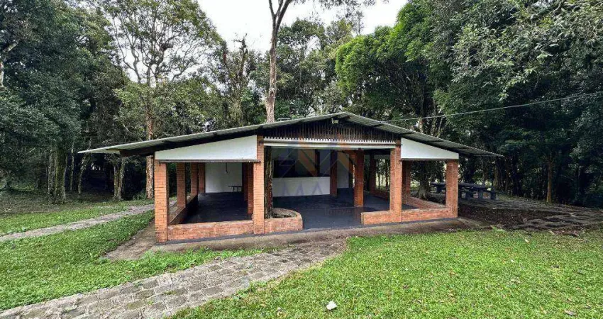 Chácara / sítio com 3 quartos à venda na Colônia Malhada, São José dos Pinhais 