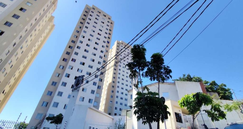 Apartamento Novo para Locação – 2 Dorms |4 Min da Av. Maria Luiza Americana