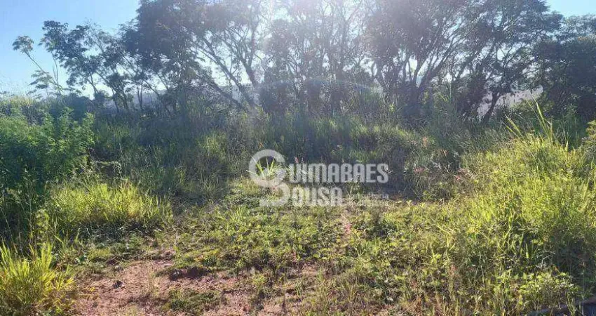 Terreno comercial à venda na Rua Comendador João Lucas, Santa Claudina, Vinhedo