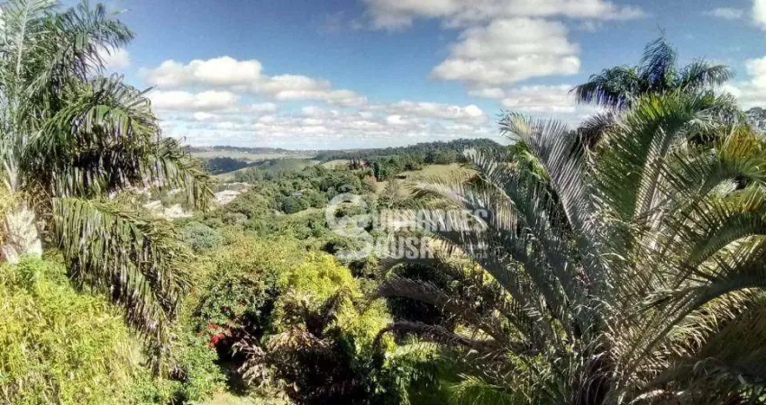 Chácara com 4 dormitórios à venda, 24500 m² por r$ 3.280.000,00 - jardim florido - vinhedo/sp