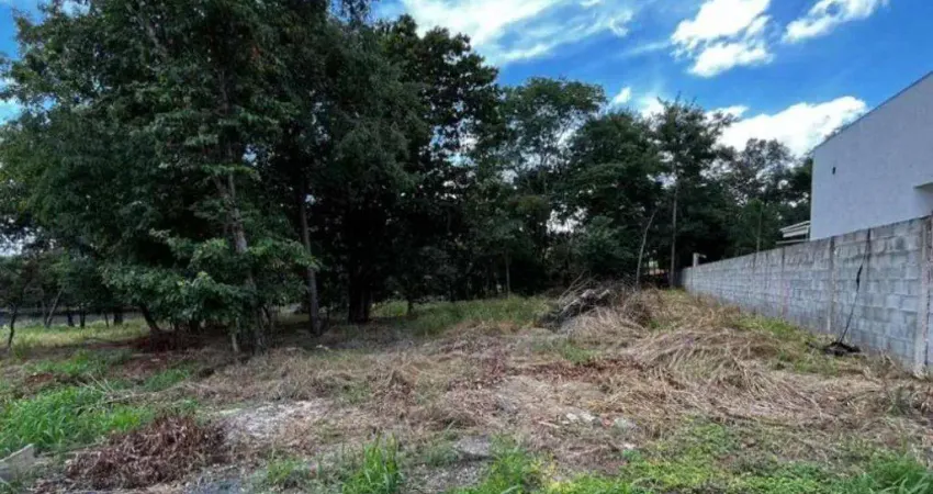 Terreno à venda na Rua das Paineiras, Residencial Villa Verde, Senador Canedo
