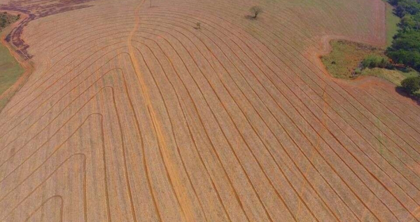 Fazenda  Venda Patos de Minas/MG dupla aptidão, agricultura e pecuária