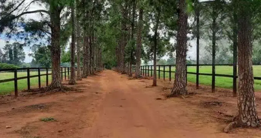 Fazenda à venda no Centro, Porto Feliz 