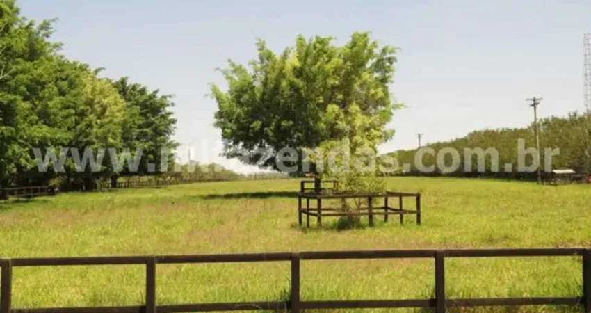 Fazenda à venda no Centro, Tatuí 