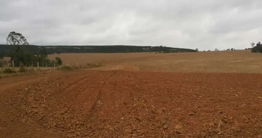 Fazenda à venda no Centro, Angatuba 