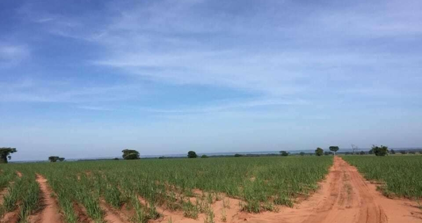 Fazenda à venda em Panorama/SP