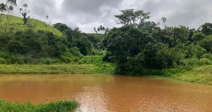 Fazenda Execelente na Região Itapira–São Paulo area de  106 Alqueires(paulista)