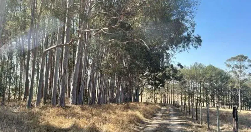 Sítio sitio em itu / sp com 12 alqs – ótima topografia em local privilegiado