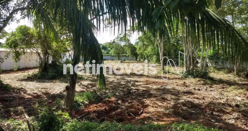 Terreno em condomínio fechado à venda na Avenida Queira Deus, Portão, Lauro de Freitas