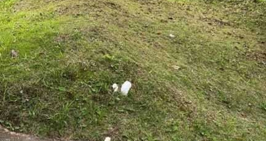 Terreno à venda no Real Park, Mogi das Cruzes 