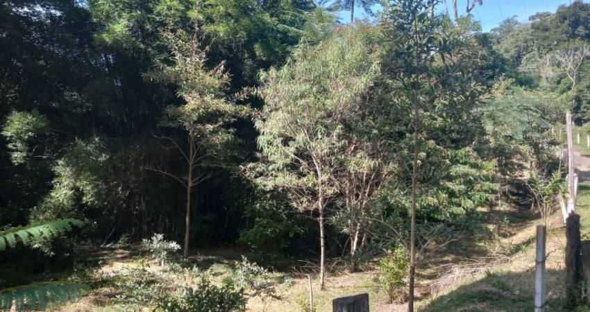 Terreno à venda na Rua Capitão Luiz Jacinto da Silva, 80, Centro, Santo Antônio do Pinhal