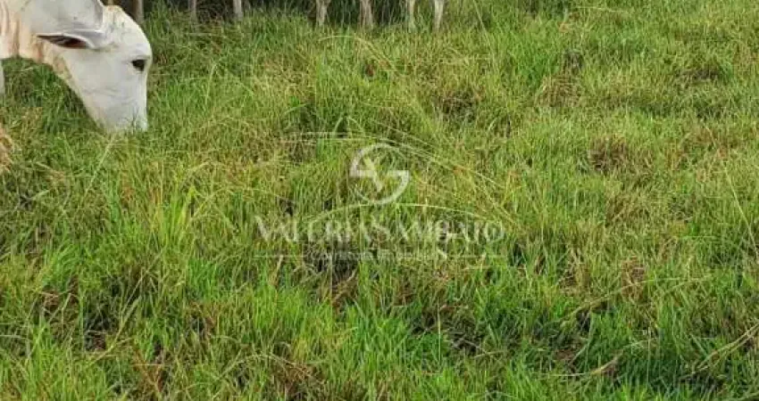 Fazenda à venda na Rua Saldanha Marinho, Centro (S-01), Vilhena