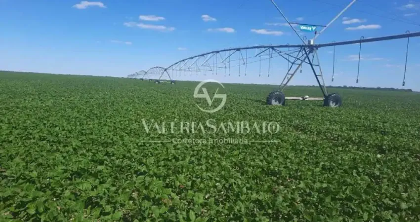 Fazenda à venda na Área Rural, Área Rural de Cacoal, Cacoal