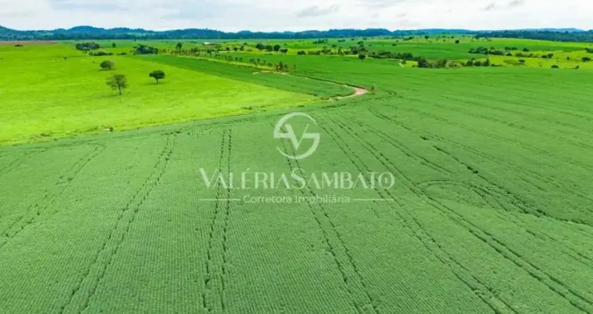Fazenda à venda na Avenida Celestino Rosalino, Vista Alegre, Cacoal