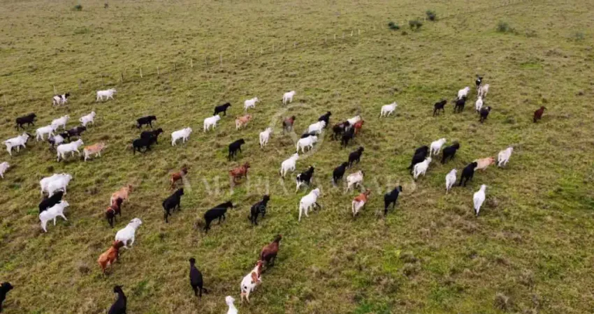 Fazenda à venda na Área Rural de Vilhena, Vilhena