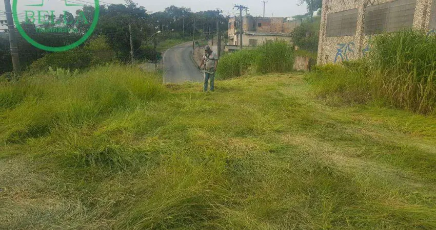 Barracão / Galpão / Depósito à venda na Avenida Paulicéia, Laranjeiras, Caieiras